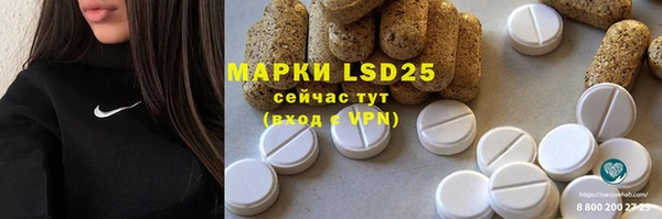 таблы Новозыбков