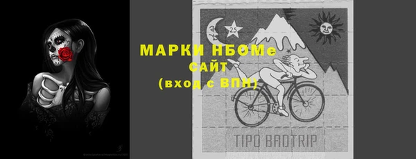 таблы Новозыбков