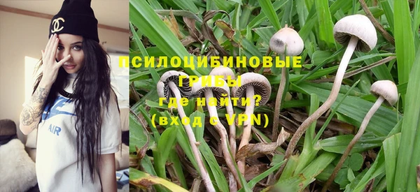 таблы Новозыбков