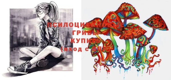 таблы Новозыбков