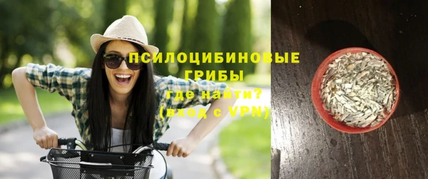 скорость Богородицк