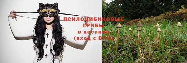 таблы Новозыбков