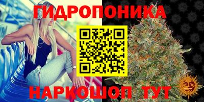 дмт Волгодонск