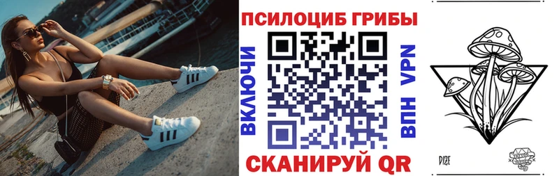 Галлюциногенные грибы мицелий Новосибирск