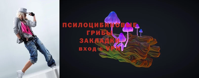 Галлюциногенные грибы MAGIC MUSHROOMS  сколько стоит  Новосибирск 