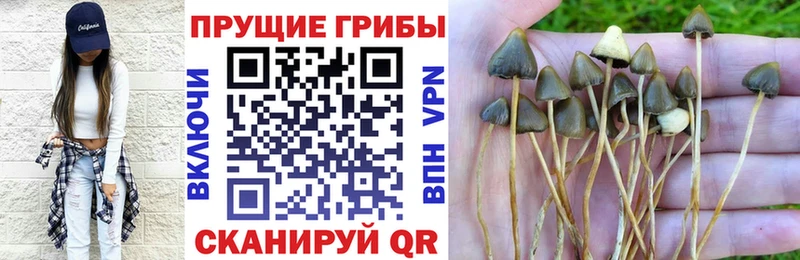 Галлюциногенные грибы мухоморы  Новосибирск 