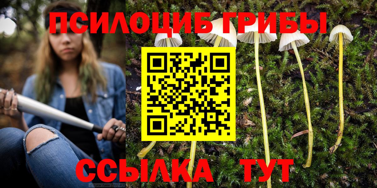 Новосибирск  Псилоцибиновые грибы Cubensis  Галлюциногенные грибы прущие грибы  Вход с VPN 